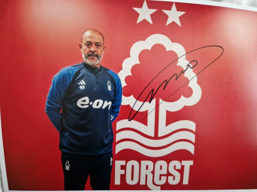 Nuno E Santos signed Nottingham Forest photo