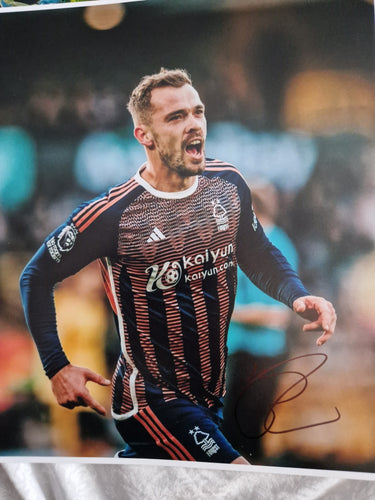 Harry Toffolo signed Nottingham Forest photo