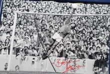 Load image into Gallery viewer, Peter Shilton signed Nottingham Forest